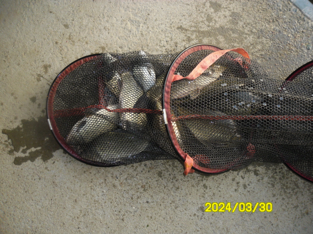 SAM_3825.JPG