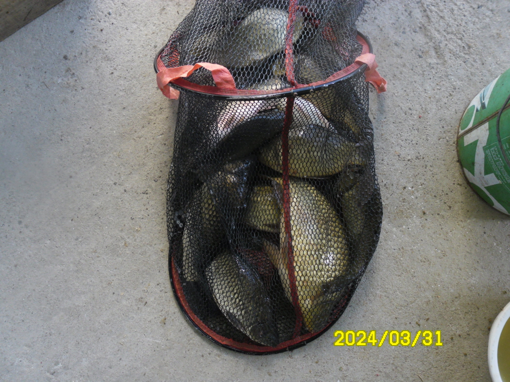 SAM_3860.JPG