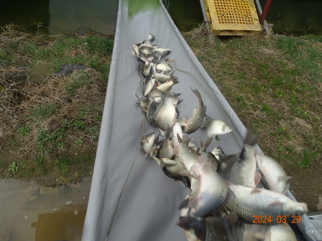 DSC09218.JPG