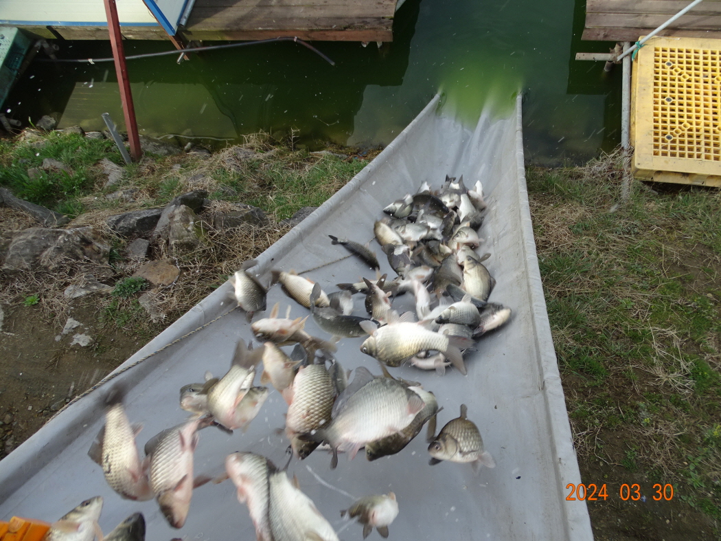 DSC09255.JPG
