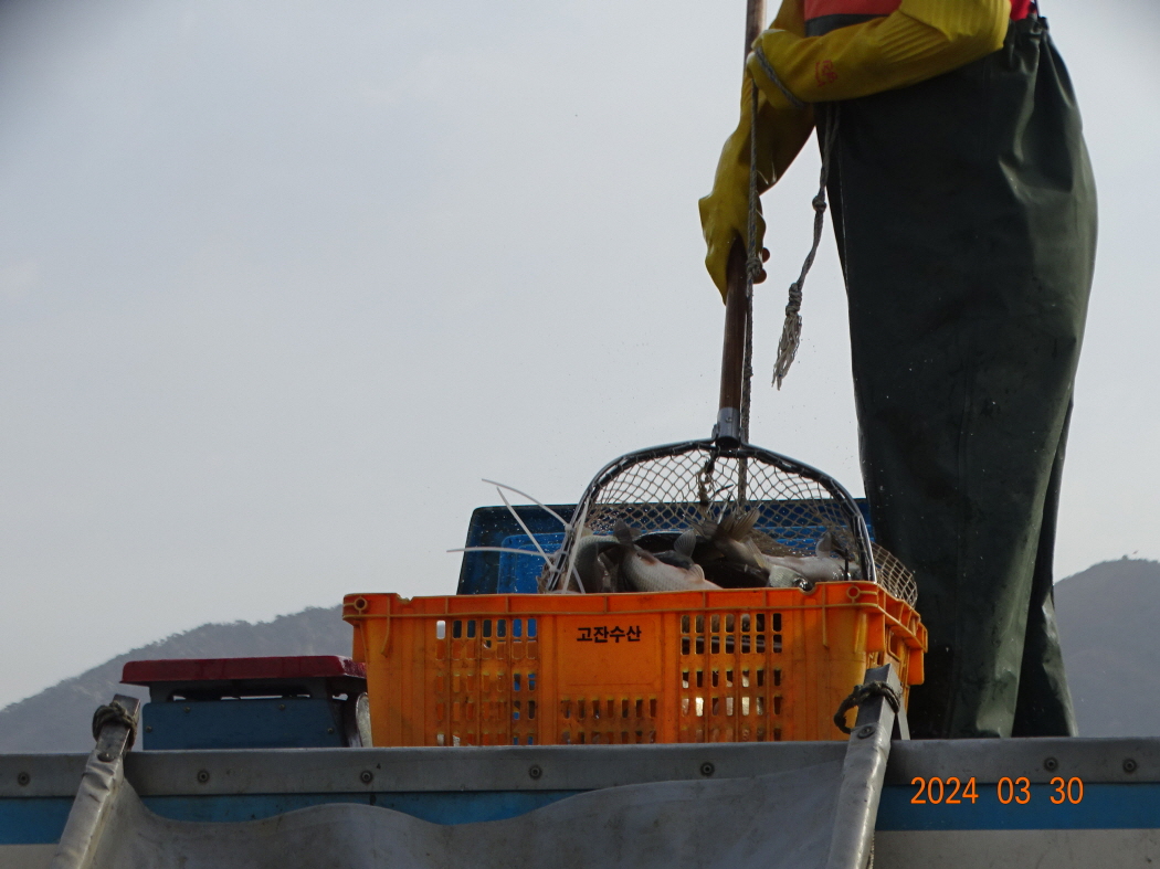 DSC09264.JPG