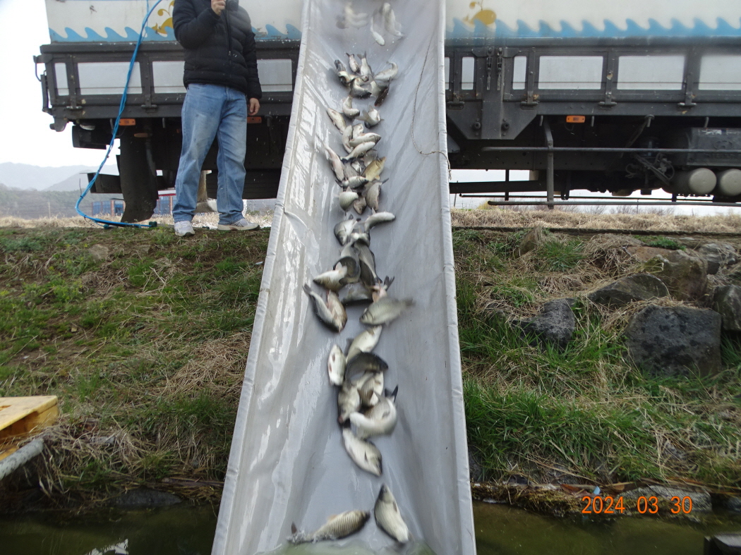DSC09273.JPG