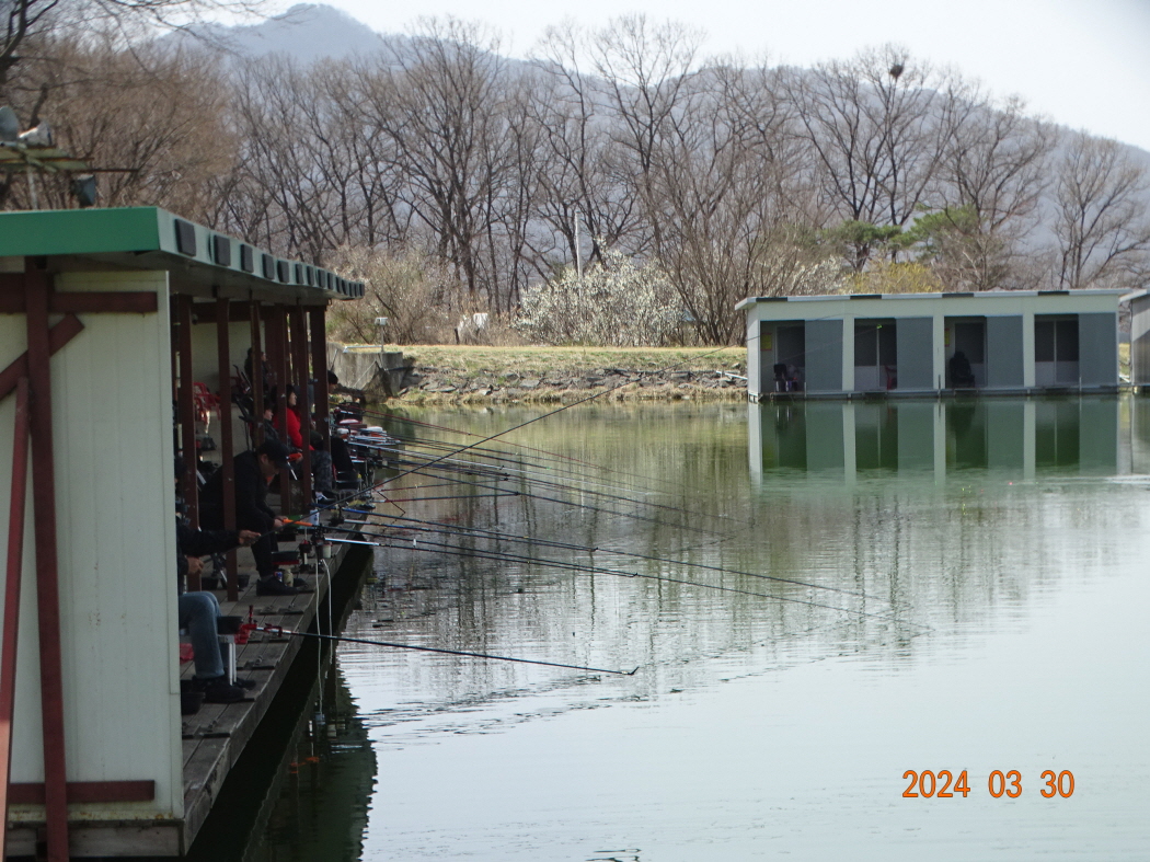 DSC09285.JPG