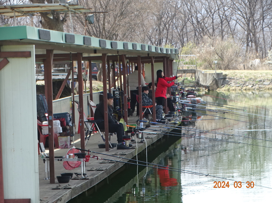 DSC09290.JPG
