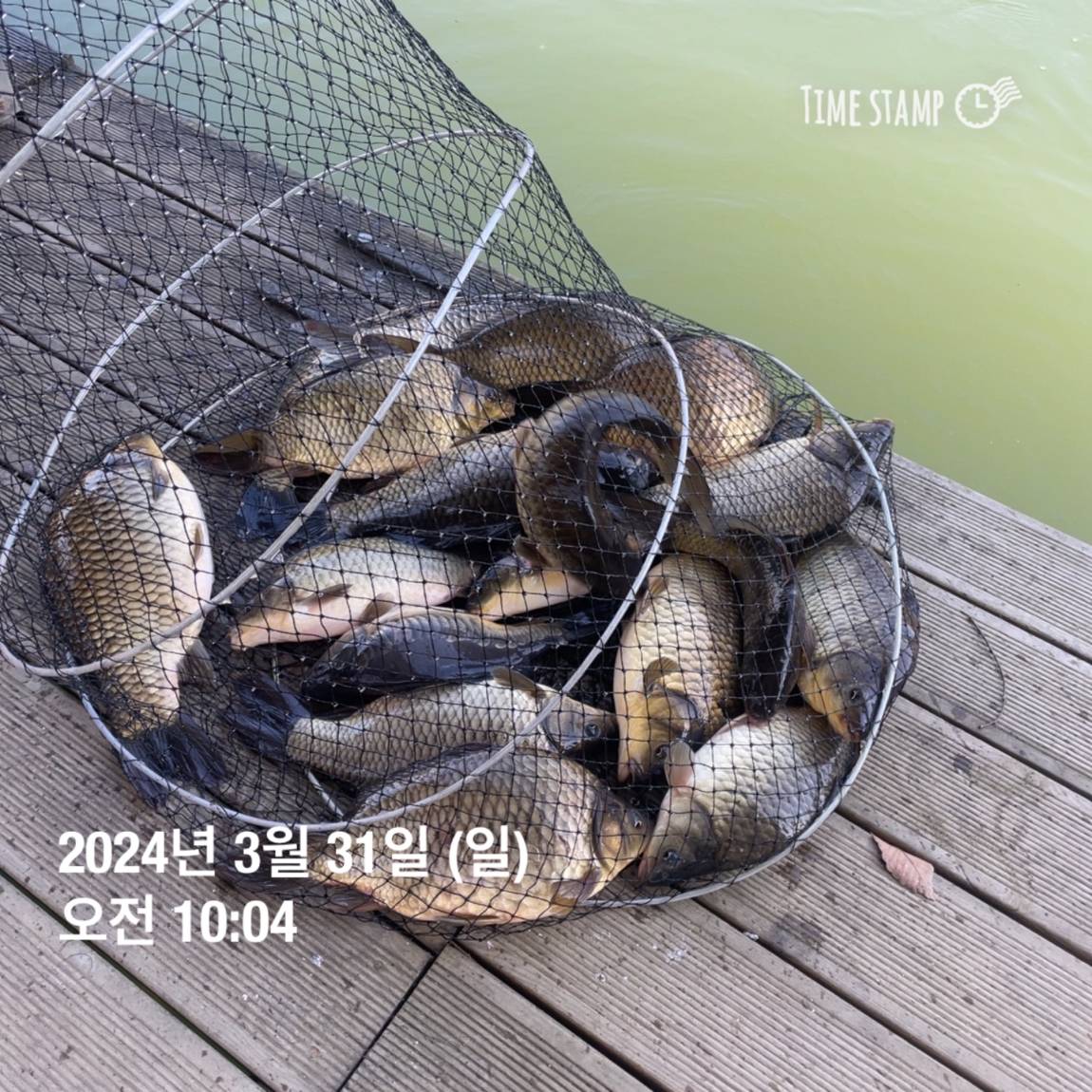 KakaoTalk_20240402_111209687_13.jpg
