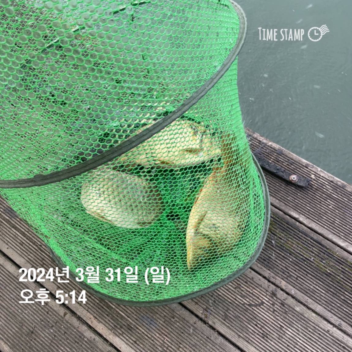 KakaoTalk_20240402_111209687_19.jpg