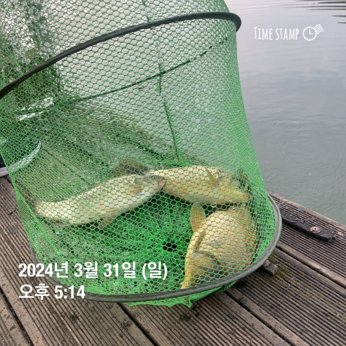 KakaoTalk_20240402_111209687_21.jpg