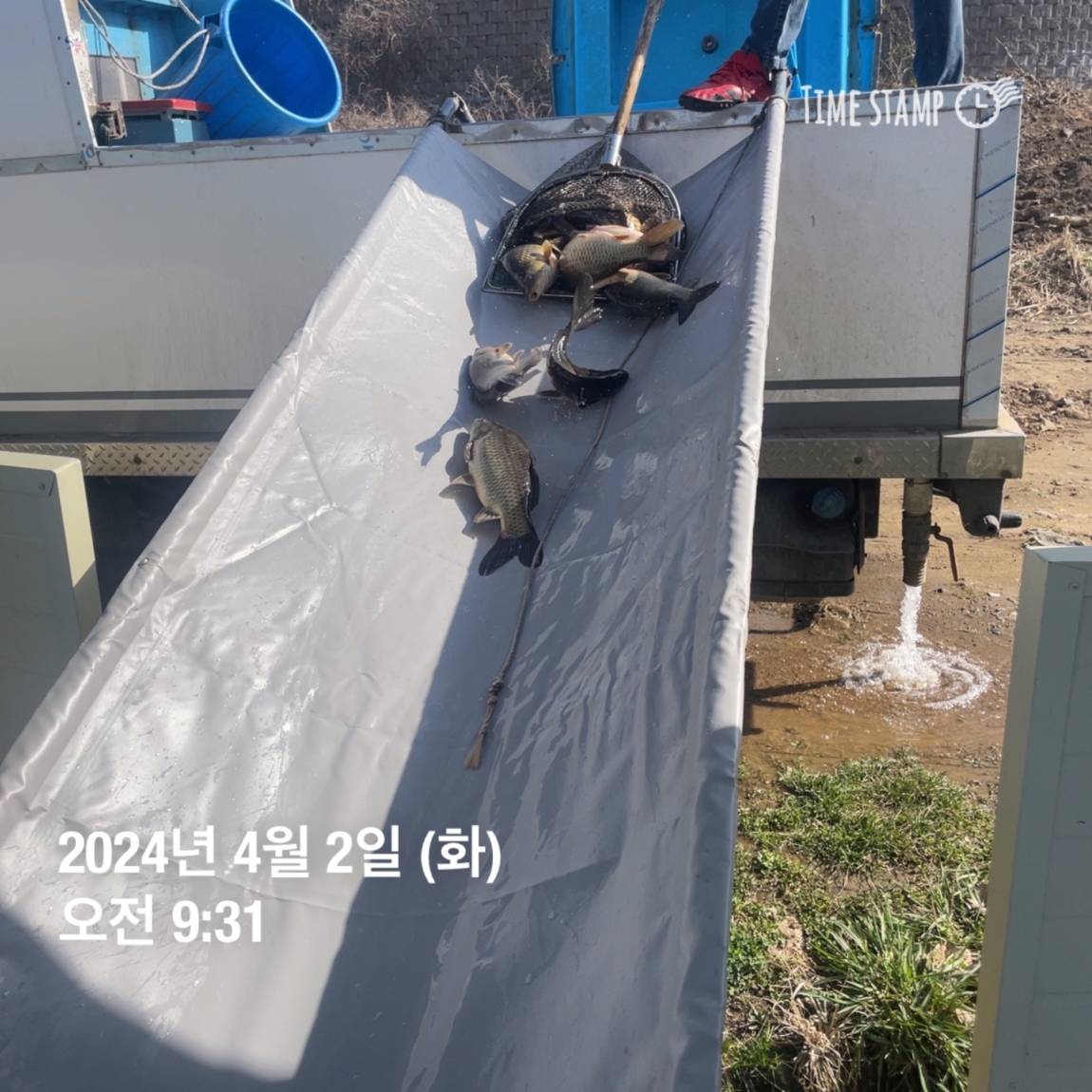 KakaoTalk_20240402_111209687_29.jpg