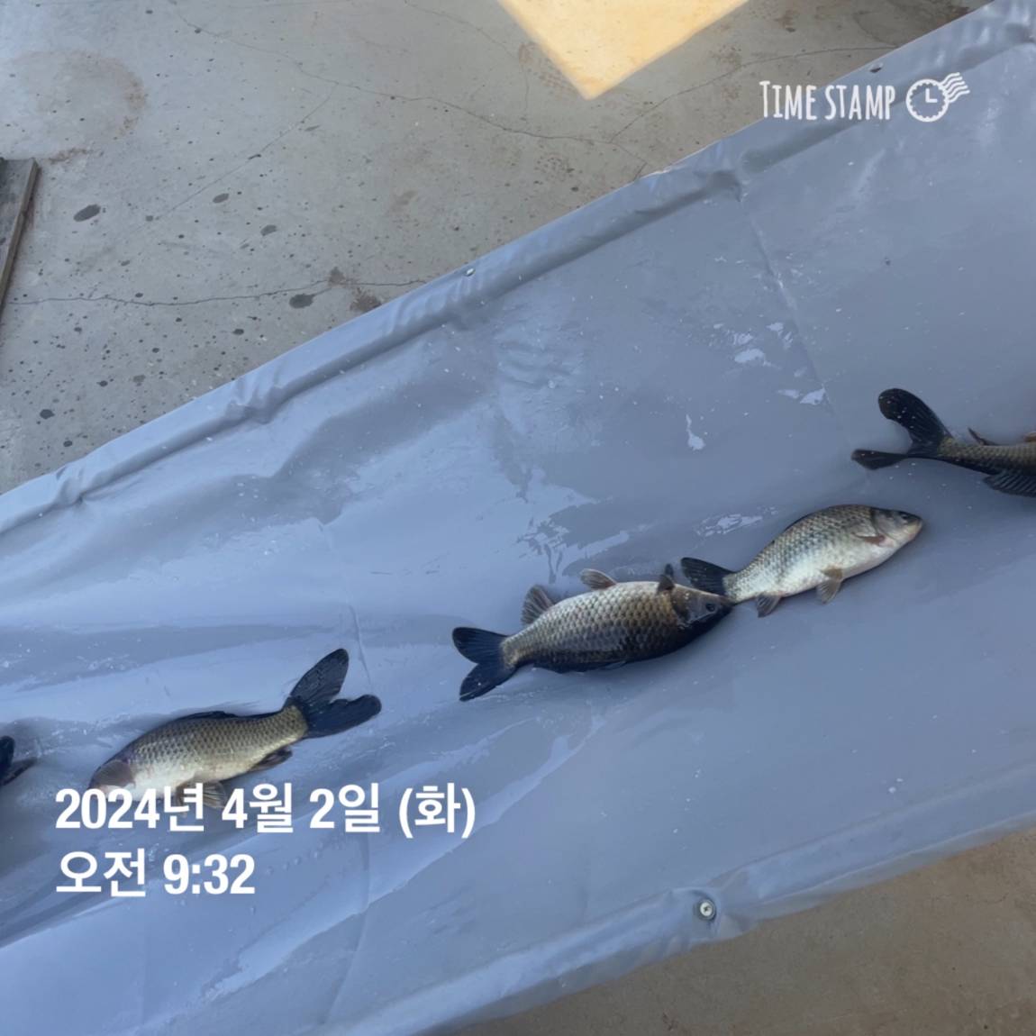 KakaoTalk_20240402_111224510_06.jpg