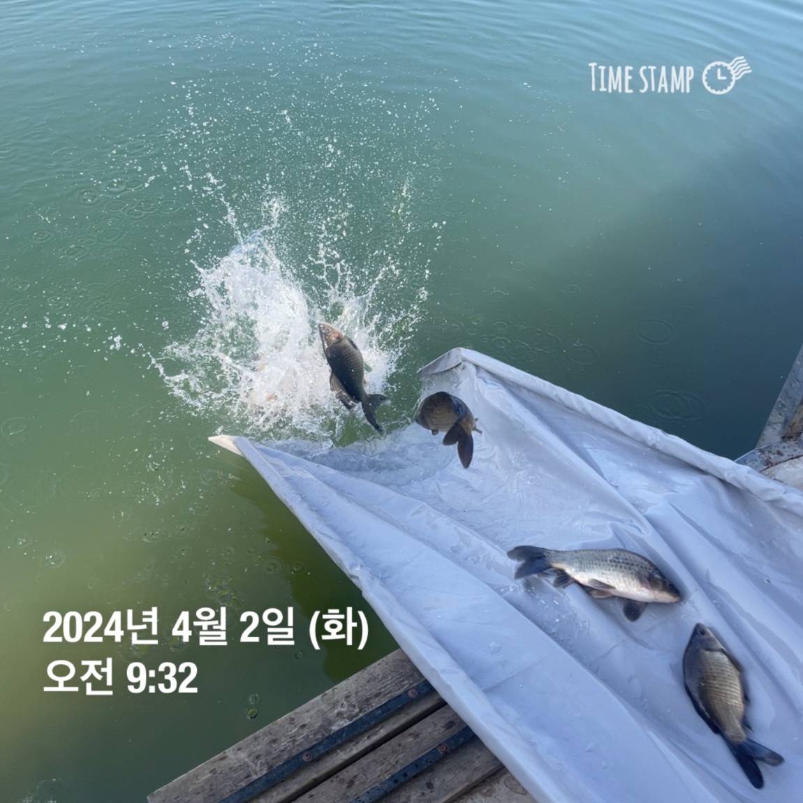 KakaoTalk_20240402_111224510_09.jpg