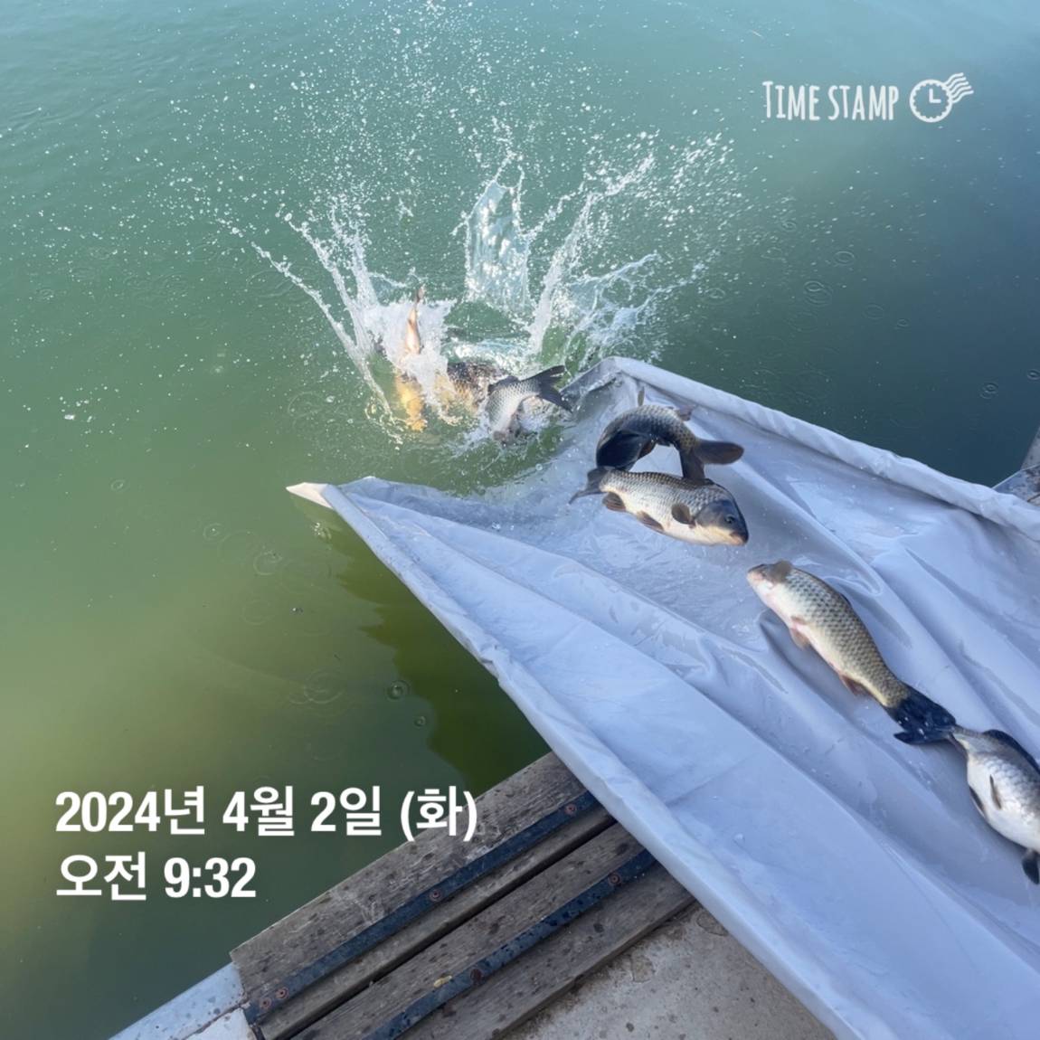 KakaoTalk_20240402_111224510_15.jpg