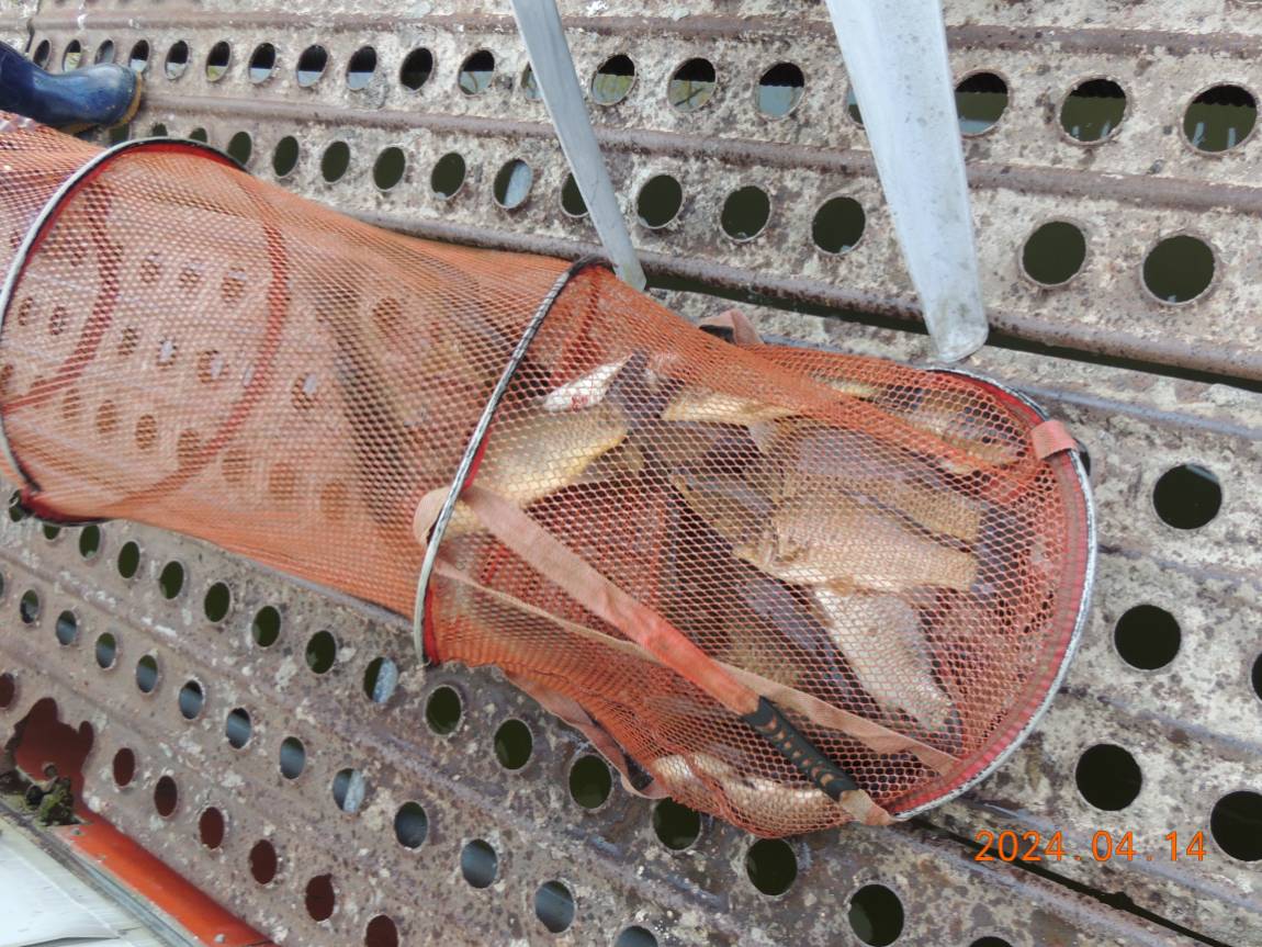 DSCN1882.JPG