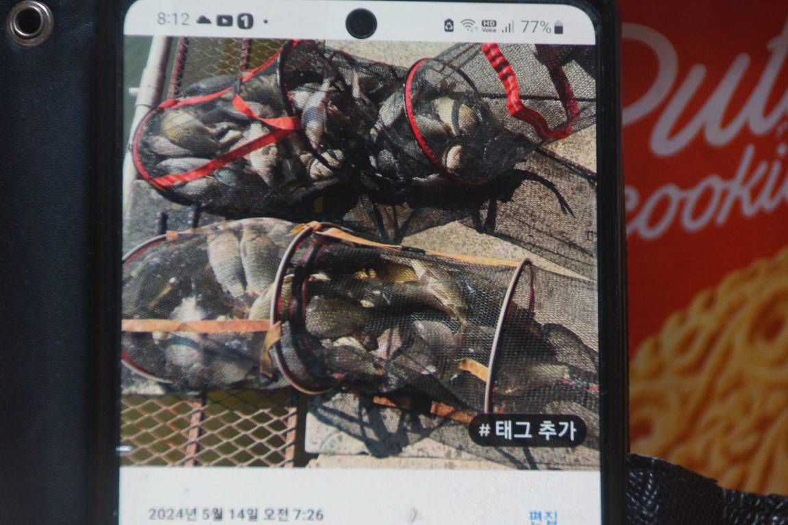 DSC04994.JPG