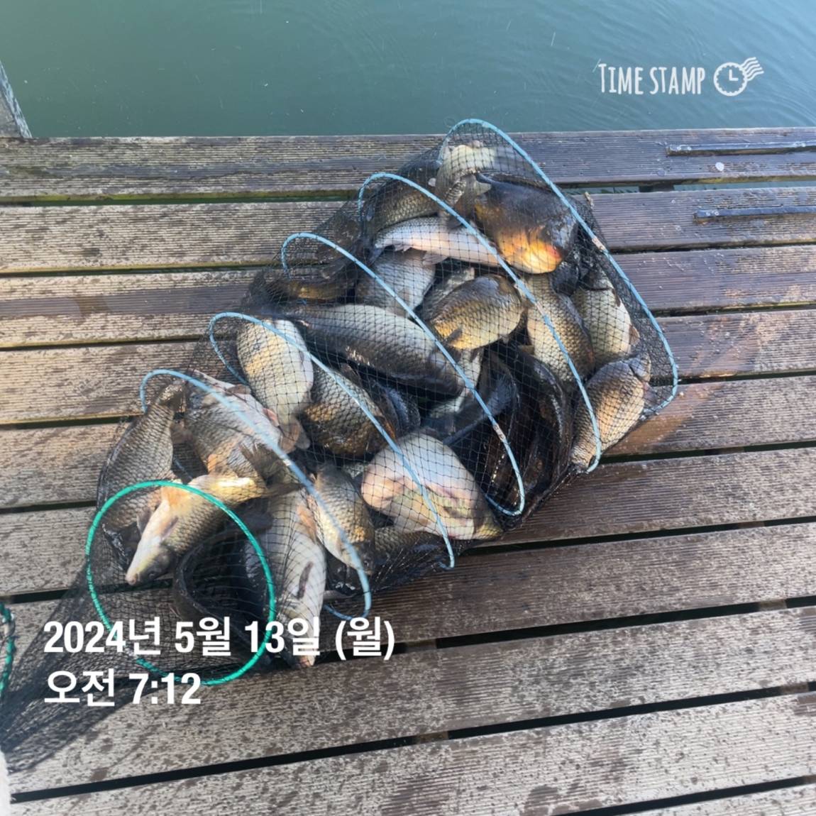 KakaoTalk_20240514_113831906_03.jpg