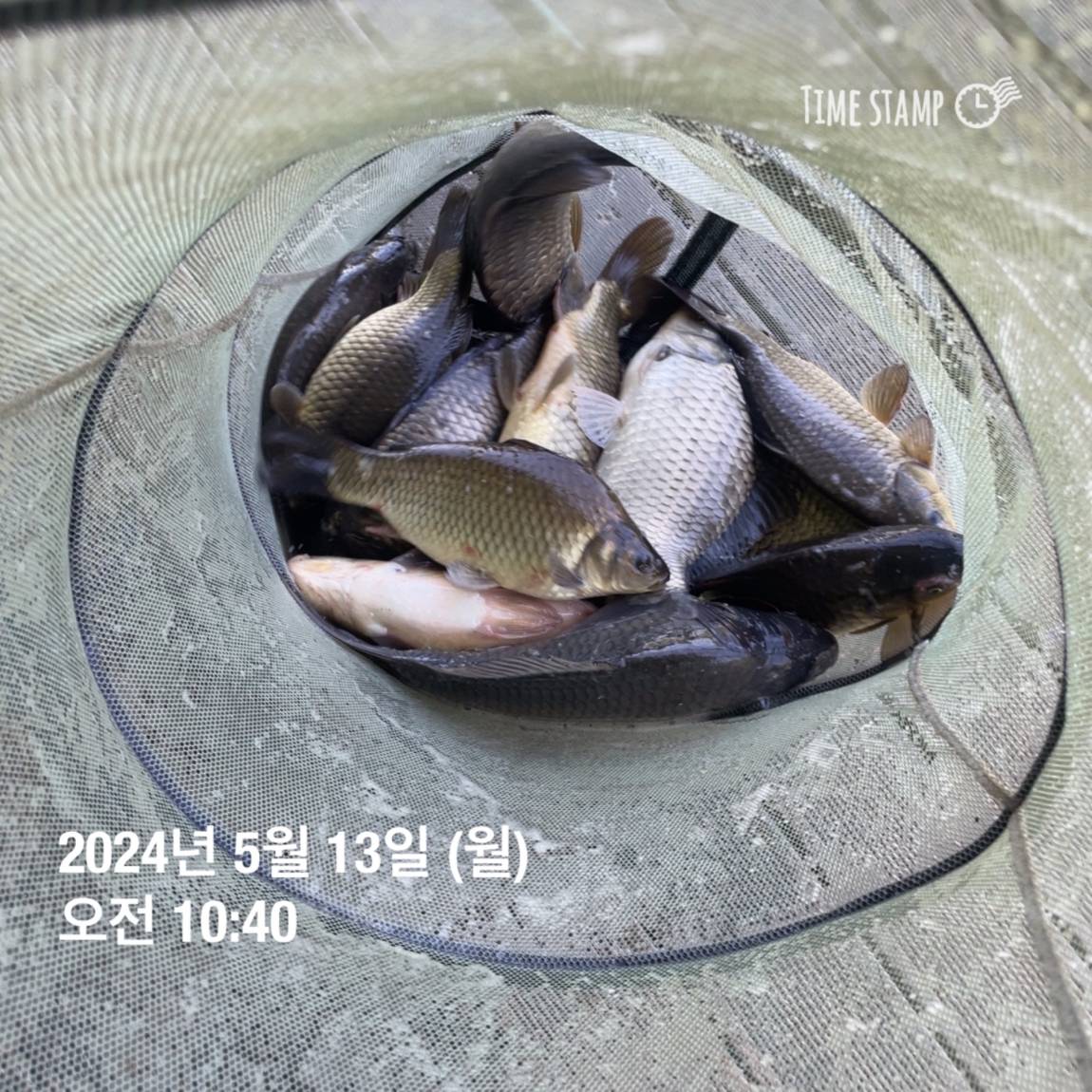 KakaoTalk_20240514_113831906_10.jpg