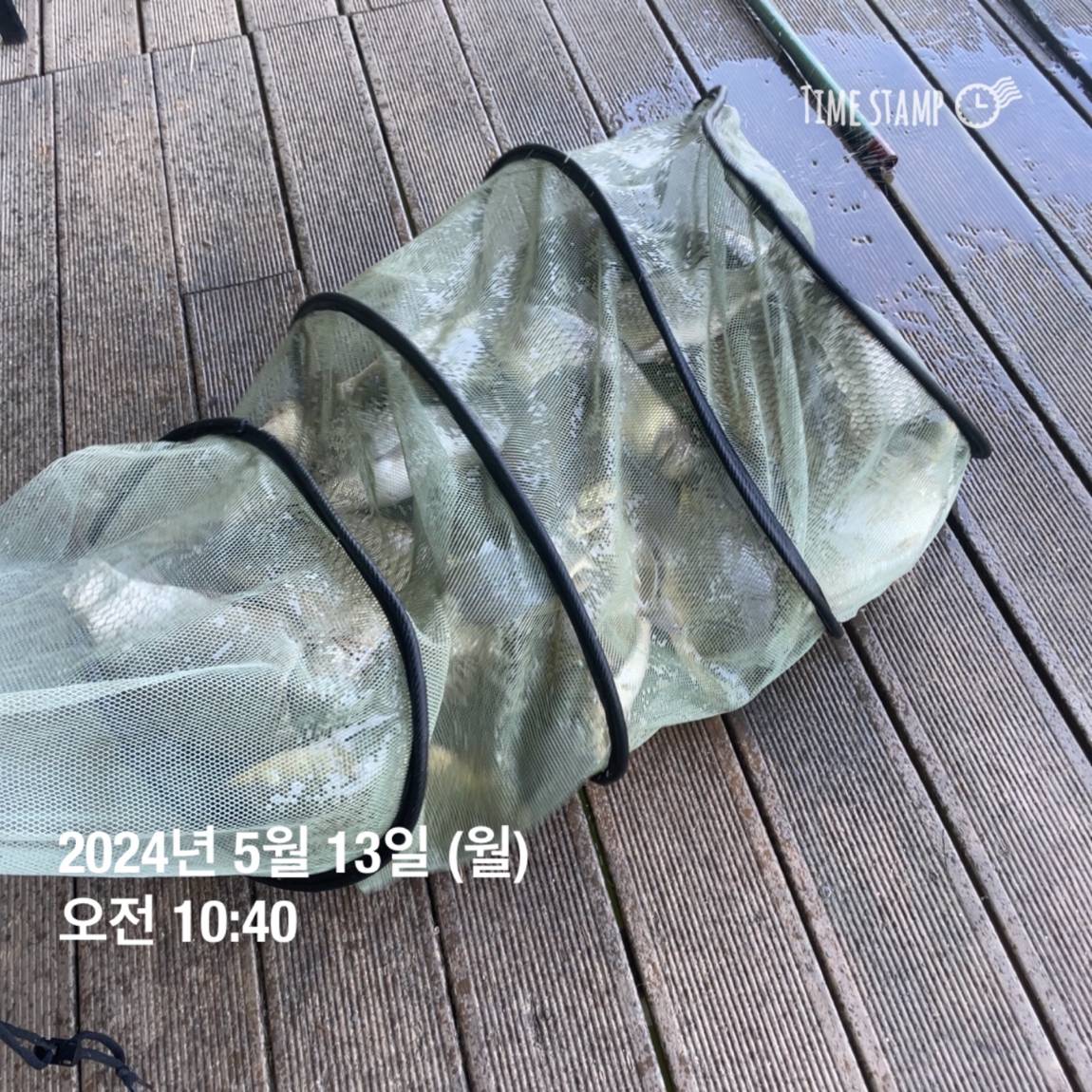 KakaoTalk_20240514_113831906_09.jpg