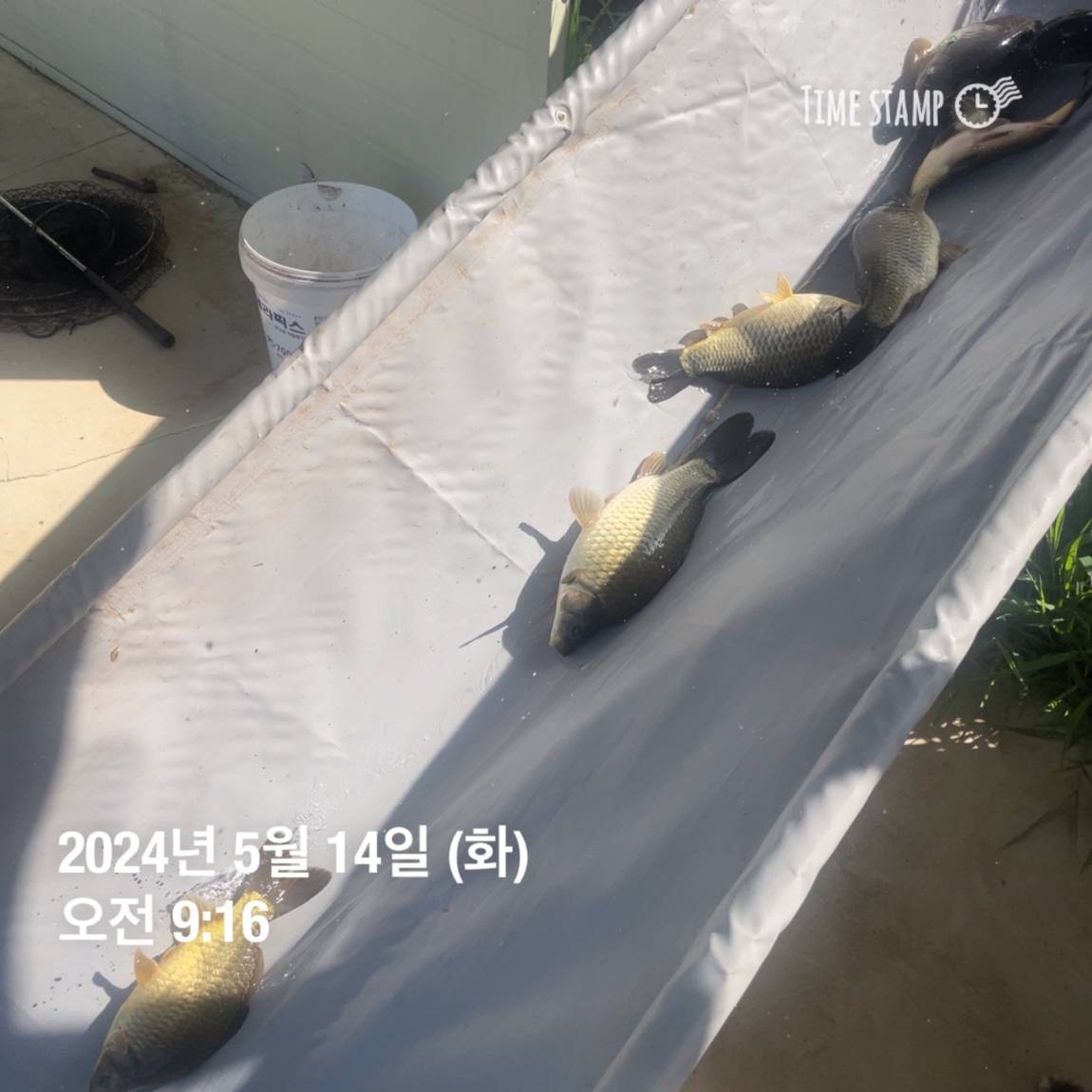 KakaoTalk_20240514_113831906_13.jpg