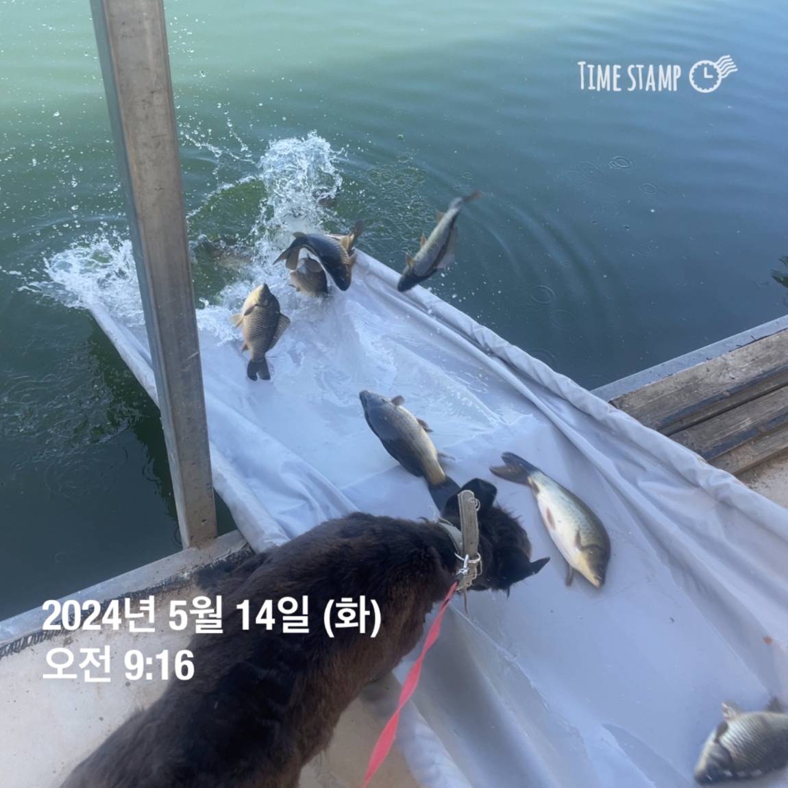 KakaoTalk_20240514_113831906_14.jpg