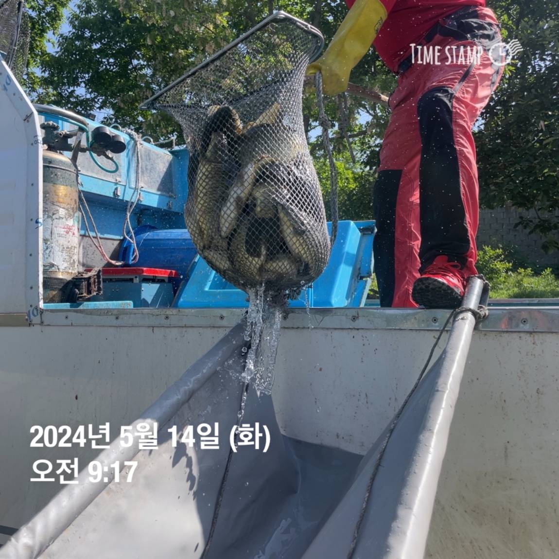 KakaoTalk_20240514_113843664.jpg