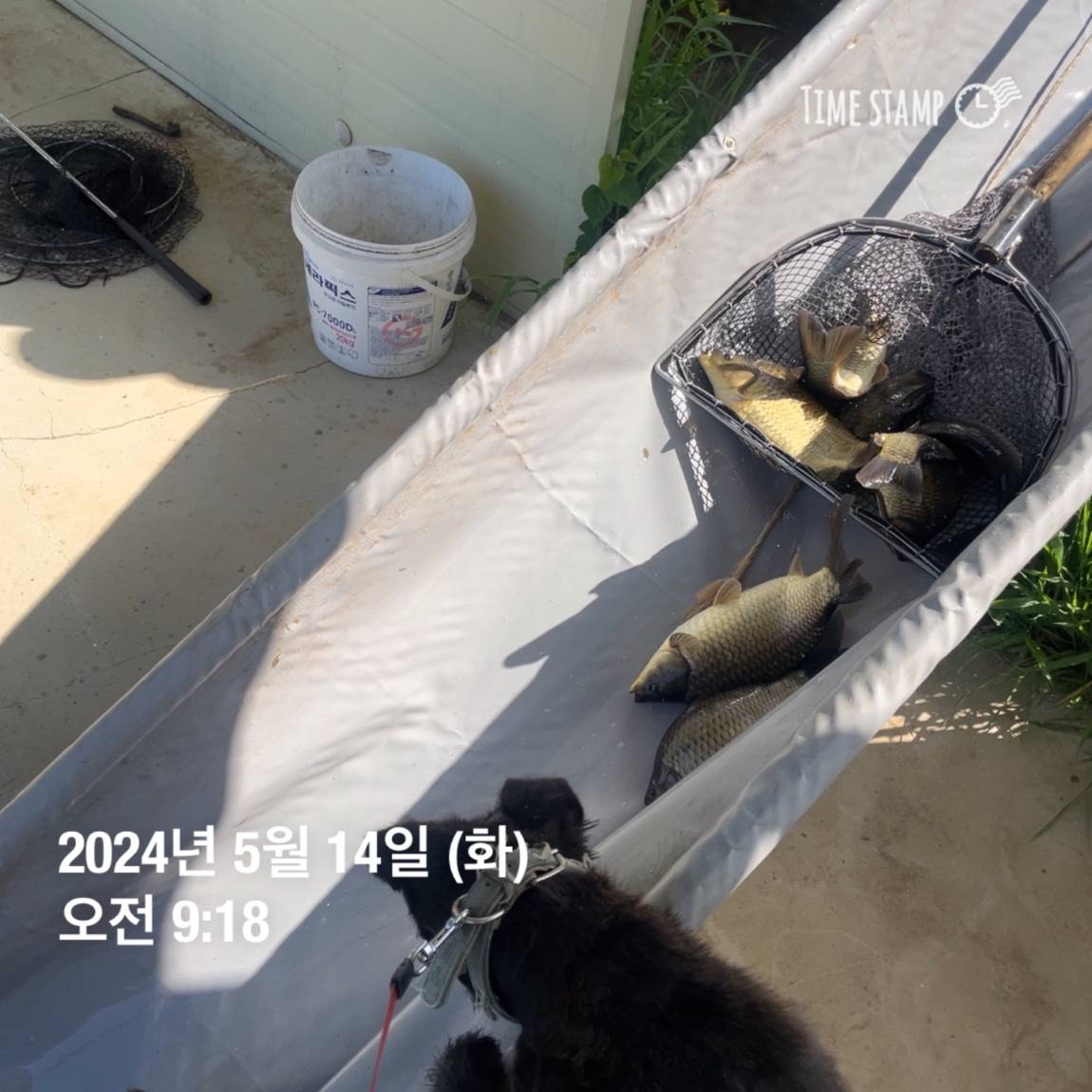 KakaoTalk_20240514_113843664_10.jpg
