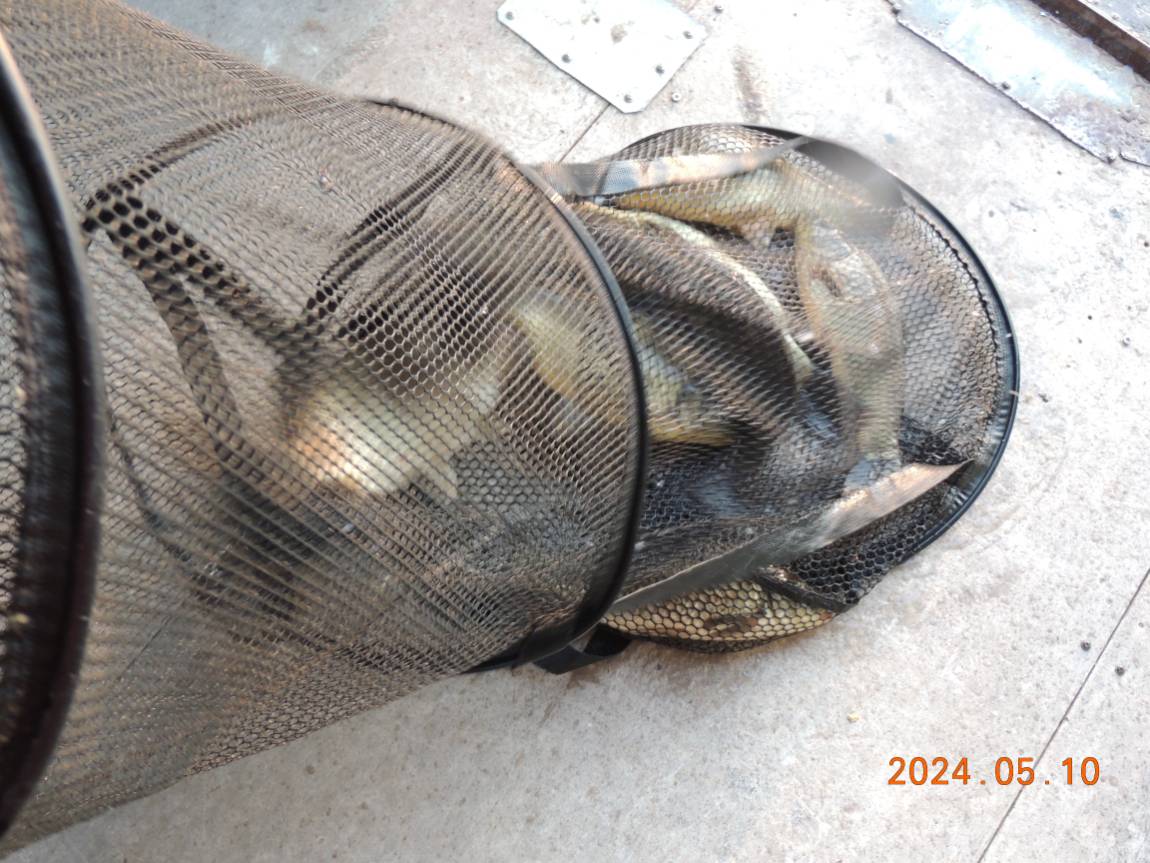 DSCN2772.JPG
