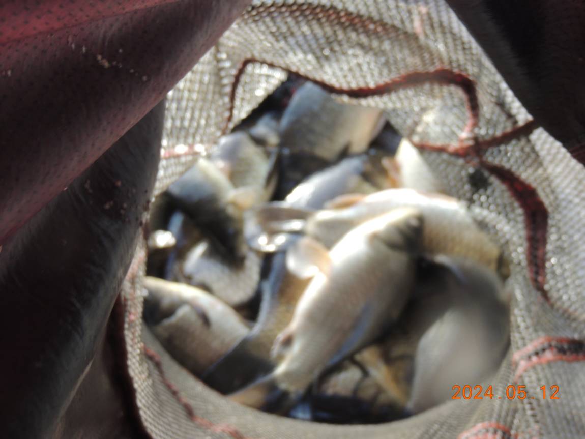DSCN2853.JPG