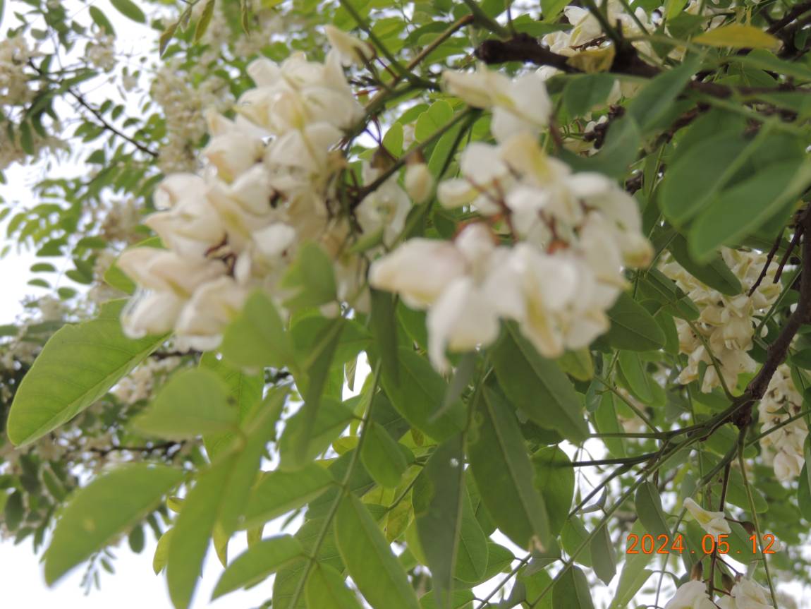 DSCN2860.JPG
