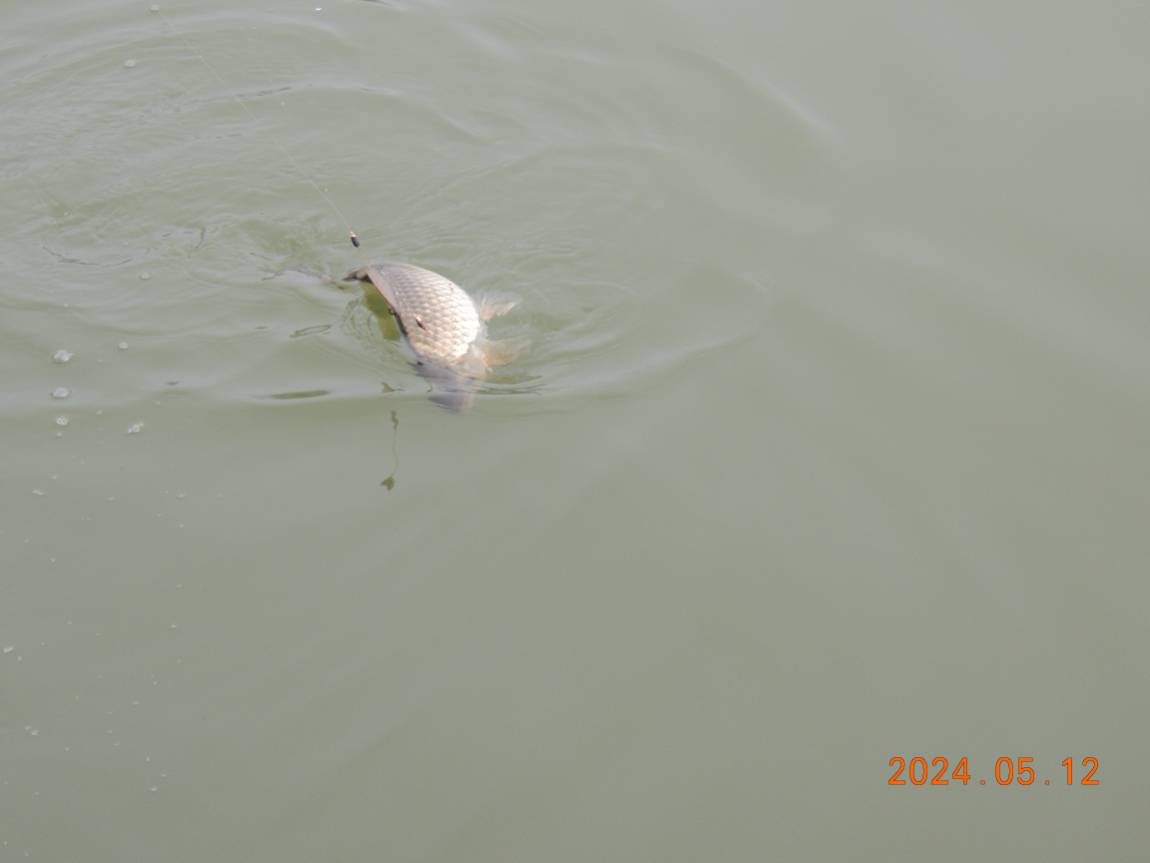 DSCN2861.JPG