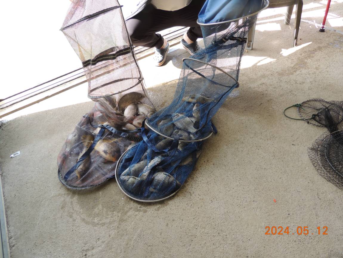 DSCN2875.JPG