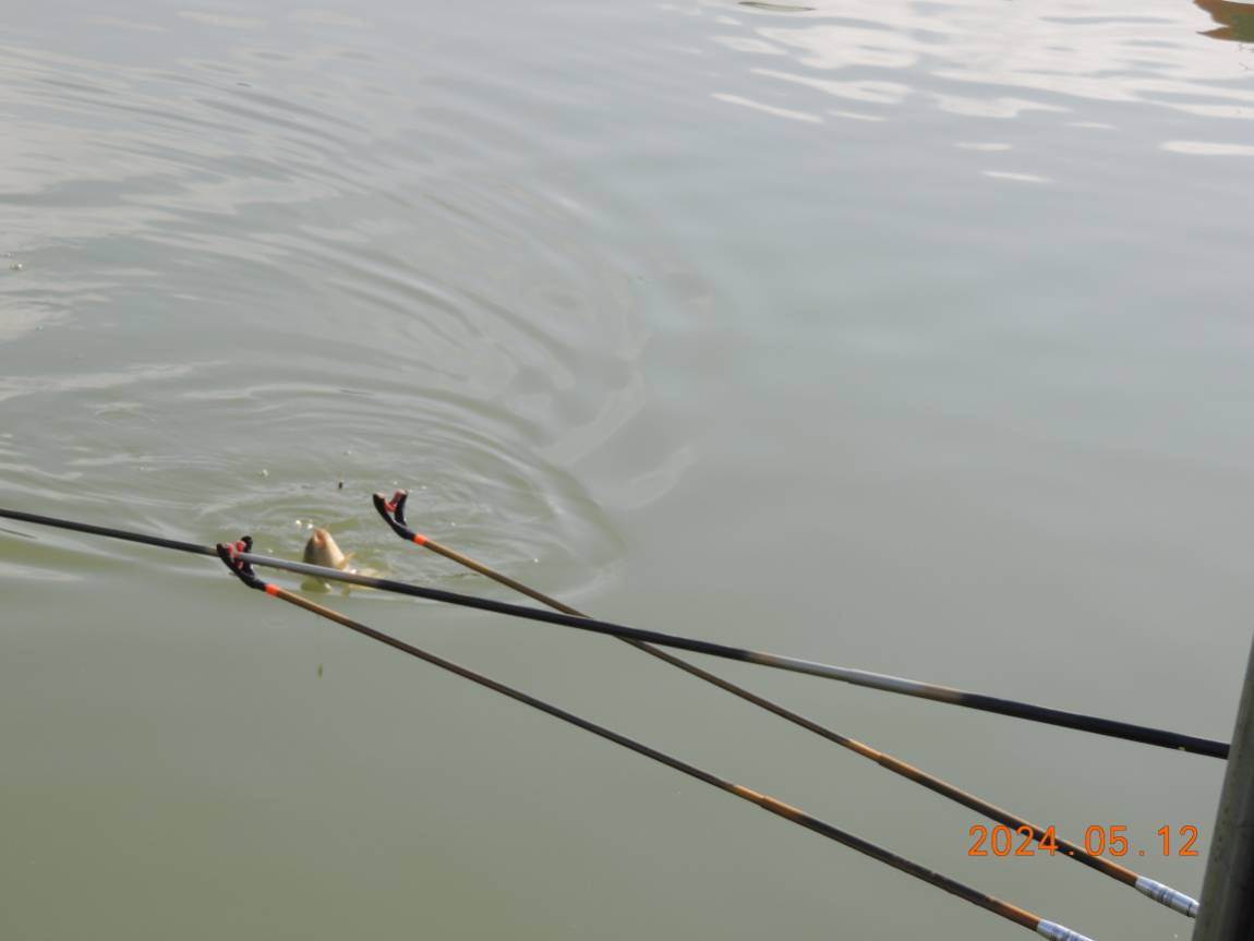 DSCN2881.JPG