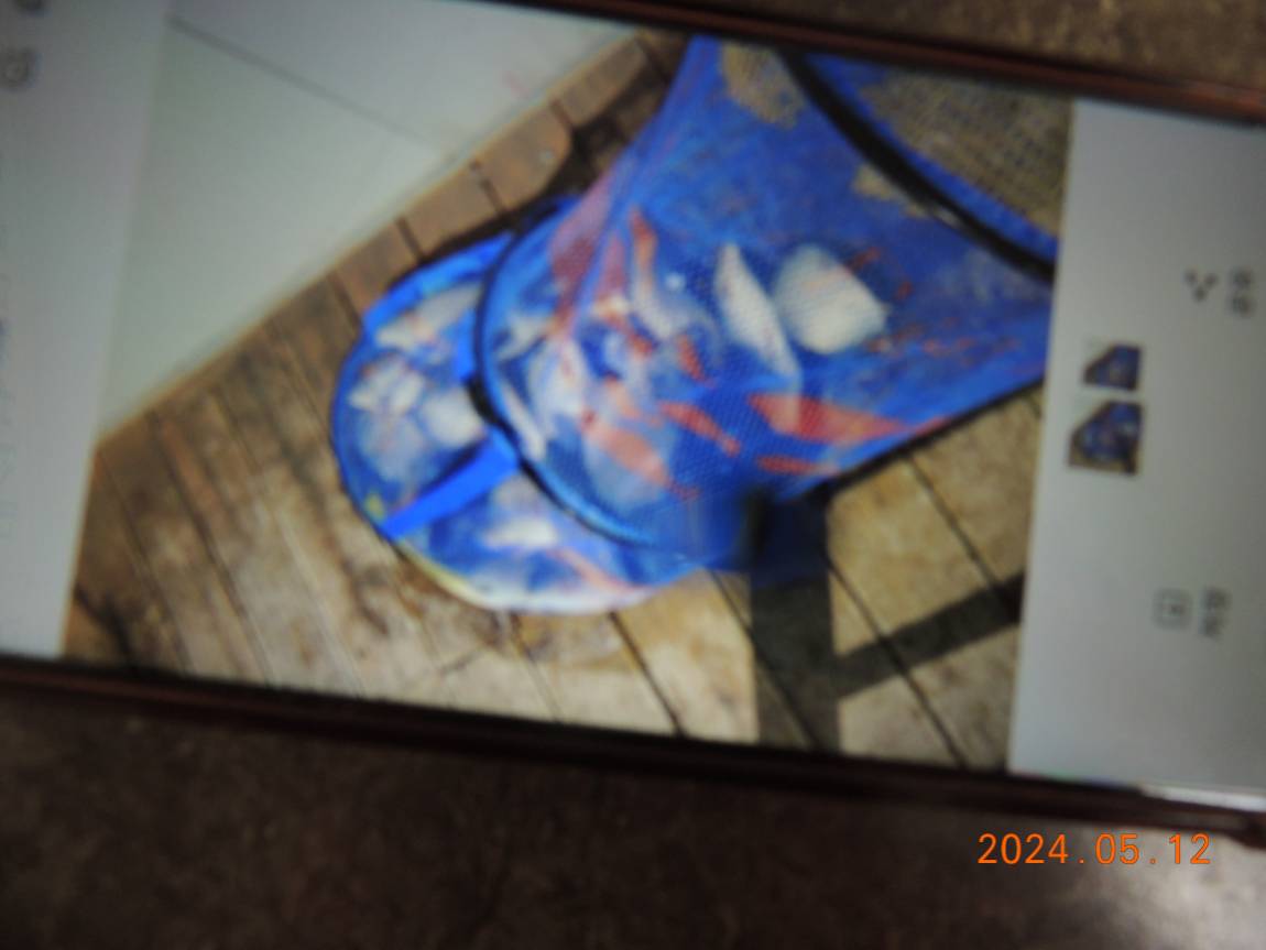 DSCN2883.JPG
