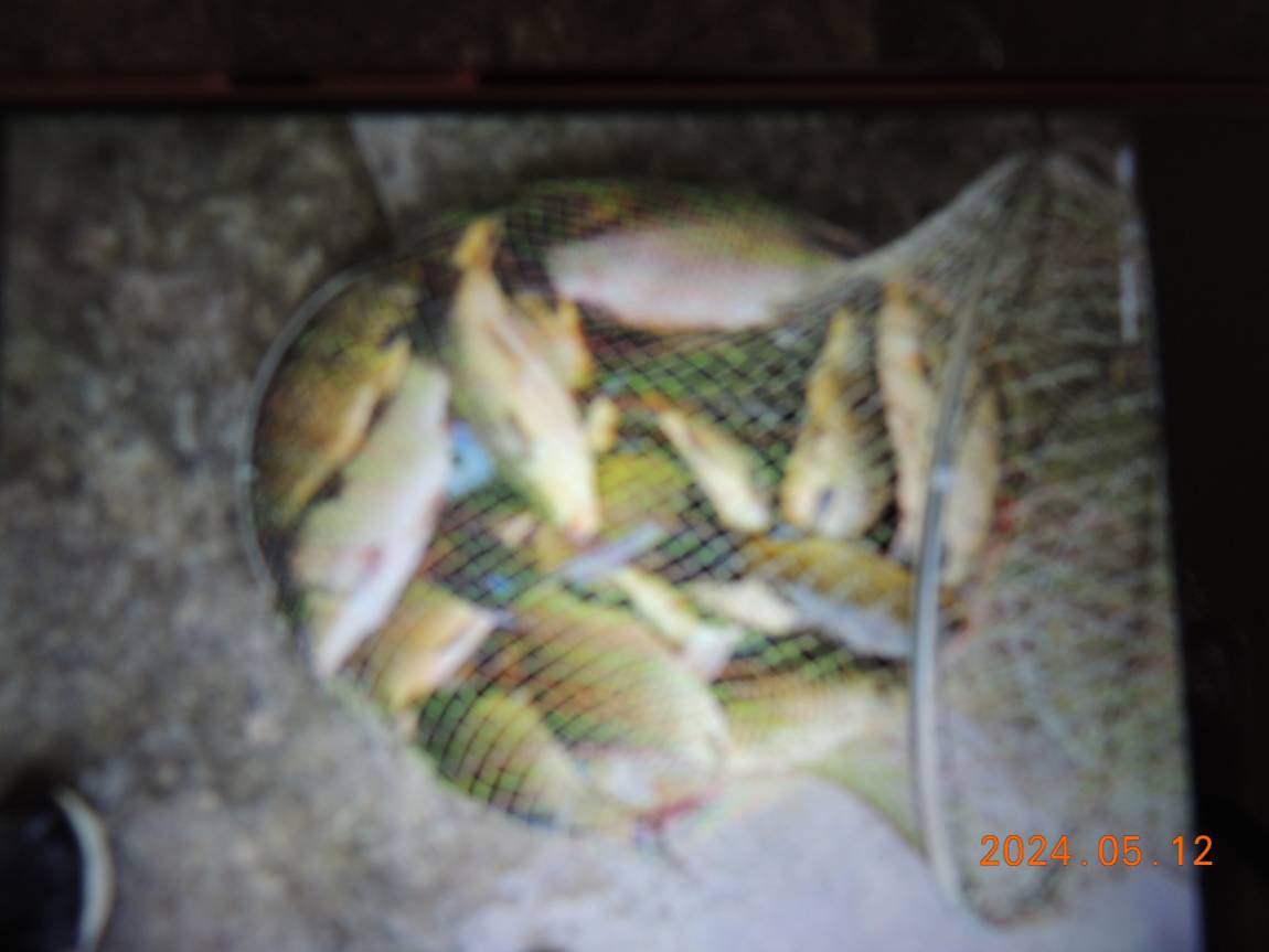 DSCN2888.JPG