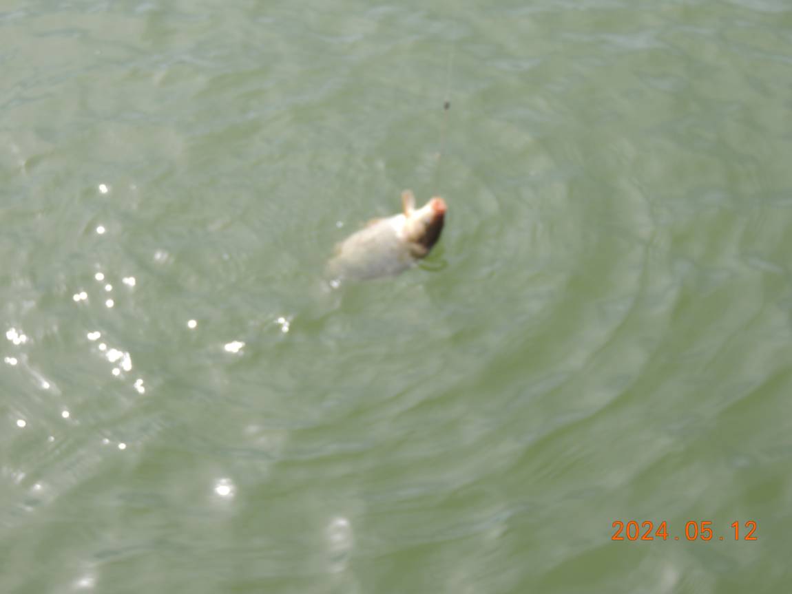DSCN2891.JPG