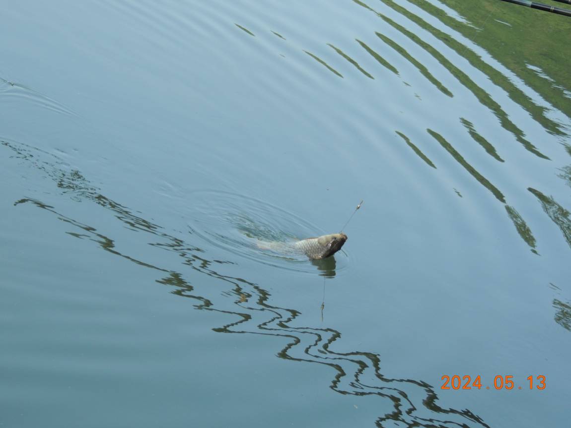 DSCN2907.JPG