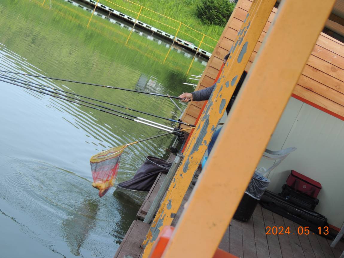 DSCN2908.JPG