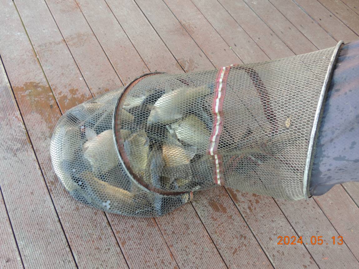 DSCN2914.JPG