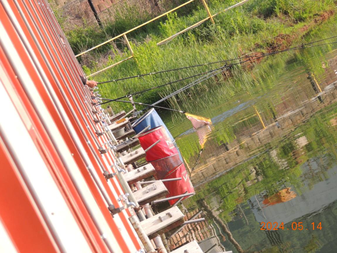 DSCN2918.JPG