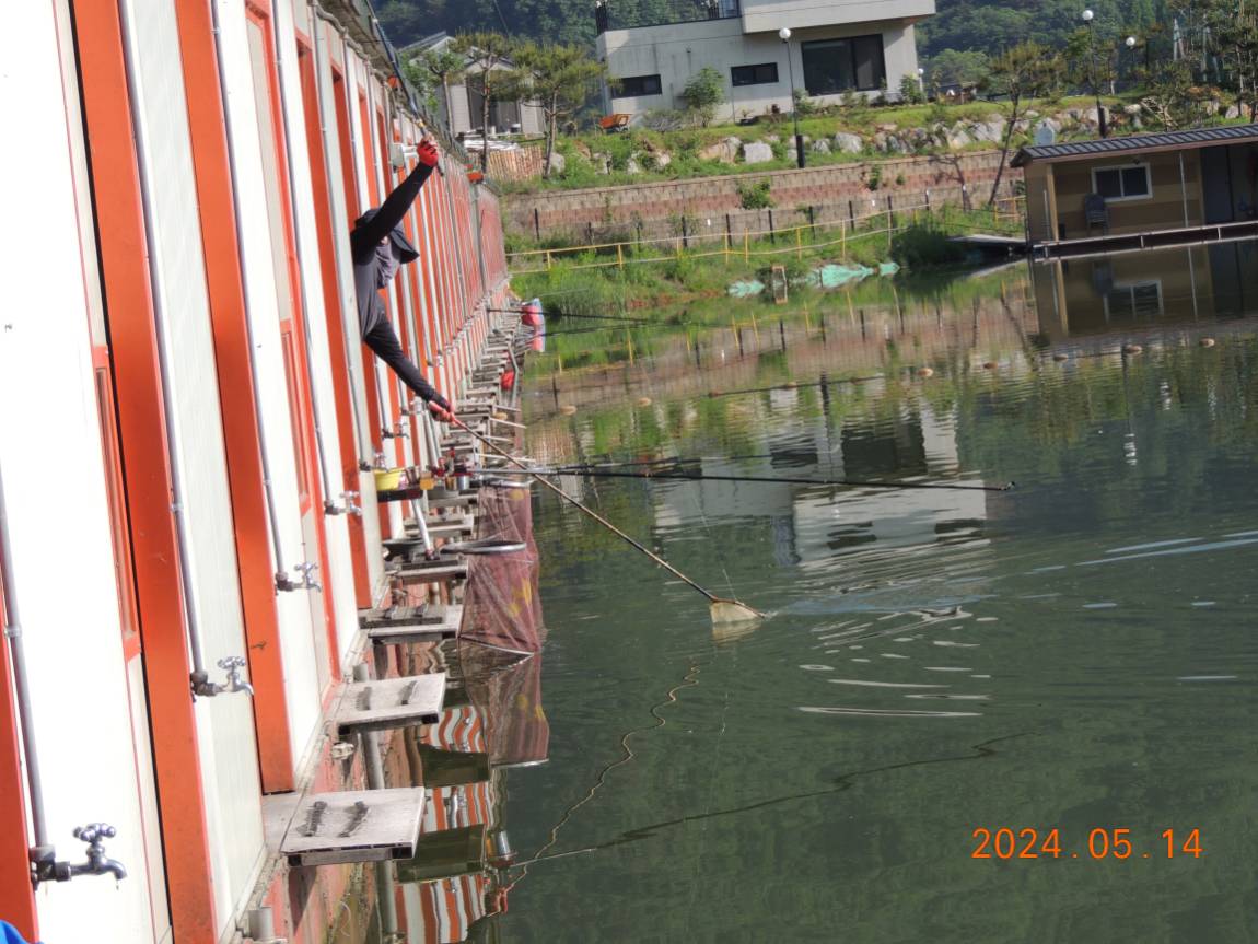 DSCN2919.JPG
