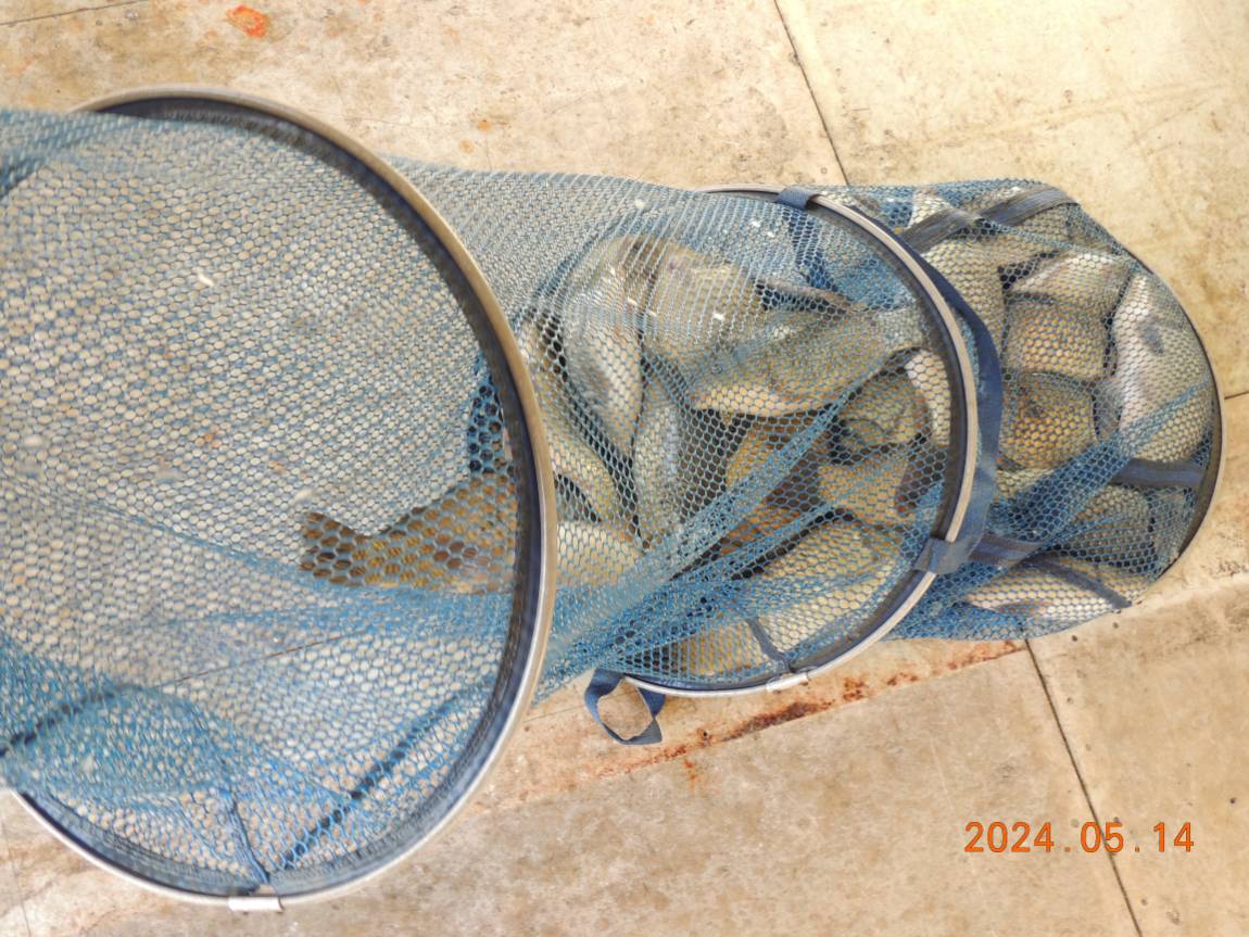 DSCN2923.JPG