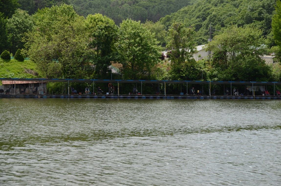 DSC_1174.JPG