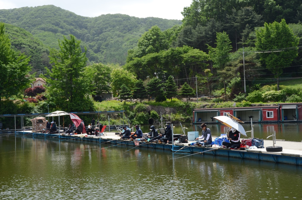 DSC_1179.JPG