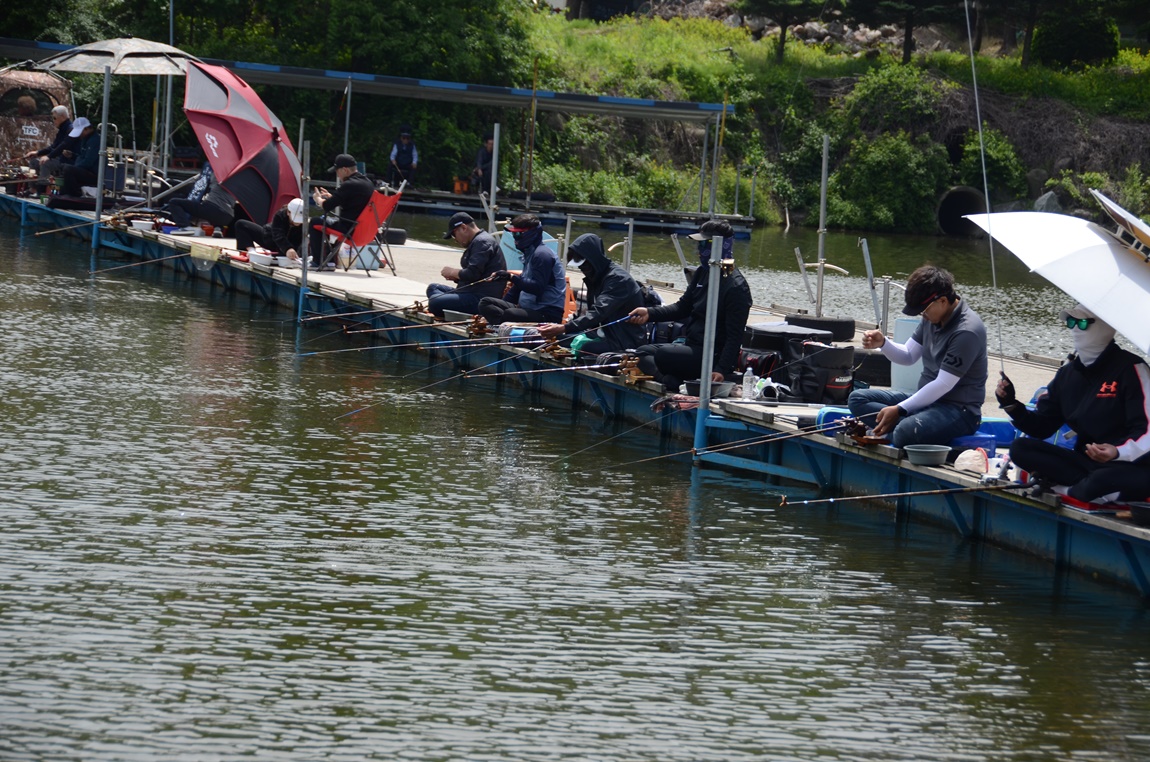 DSC_1228.JPG