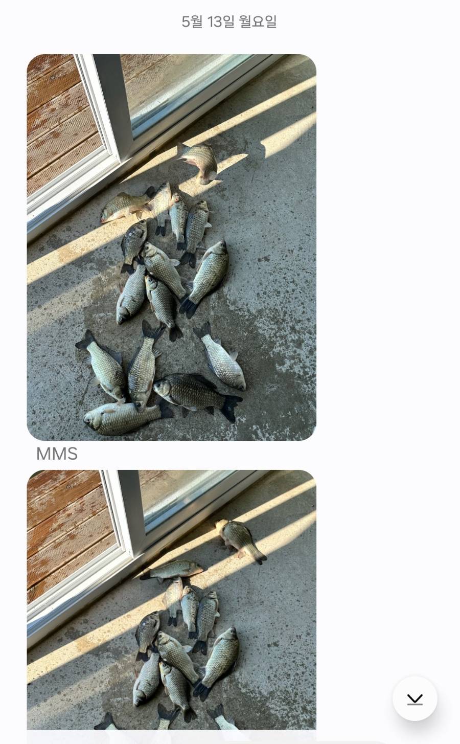 Screenshot_20240515_115502_Messages.jpg