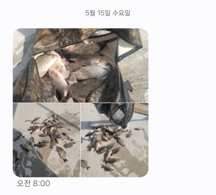 Screenshot_20240515_115839_Messages.jpg