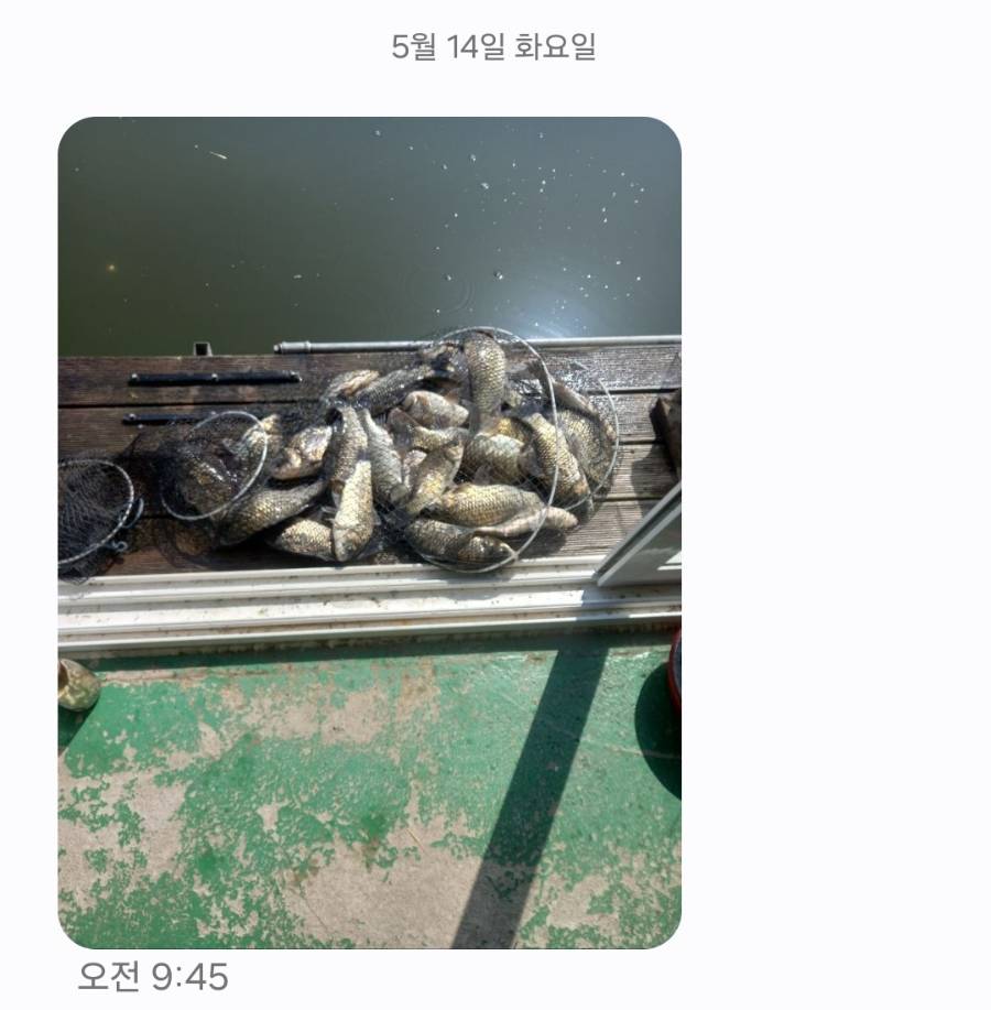 Screenshot_20240515_115813_Messages.jpg