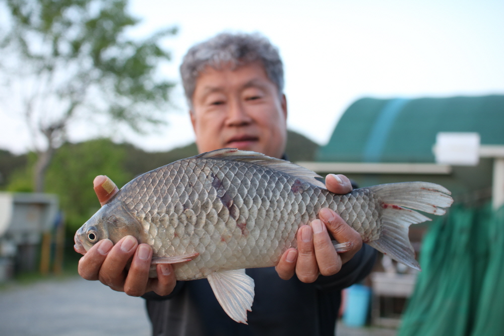 [ũ⺯ȯ]IMG_2370.JPG