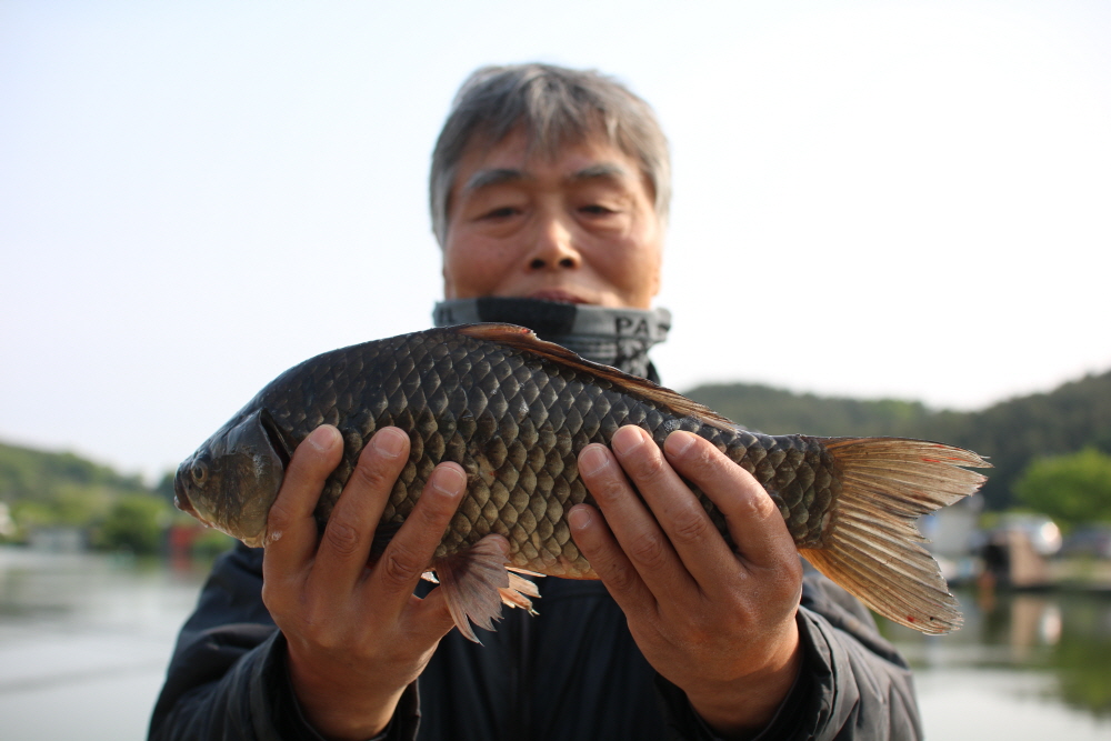[ũ⺯ȯ]IMG_2409.JPG
