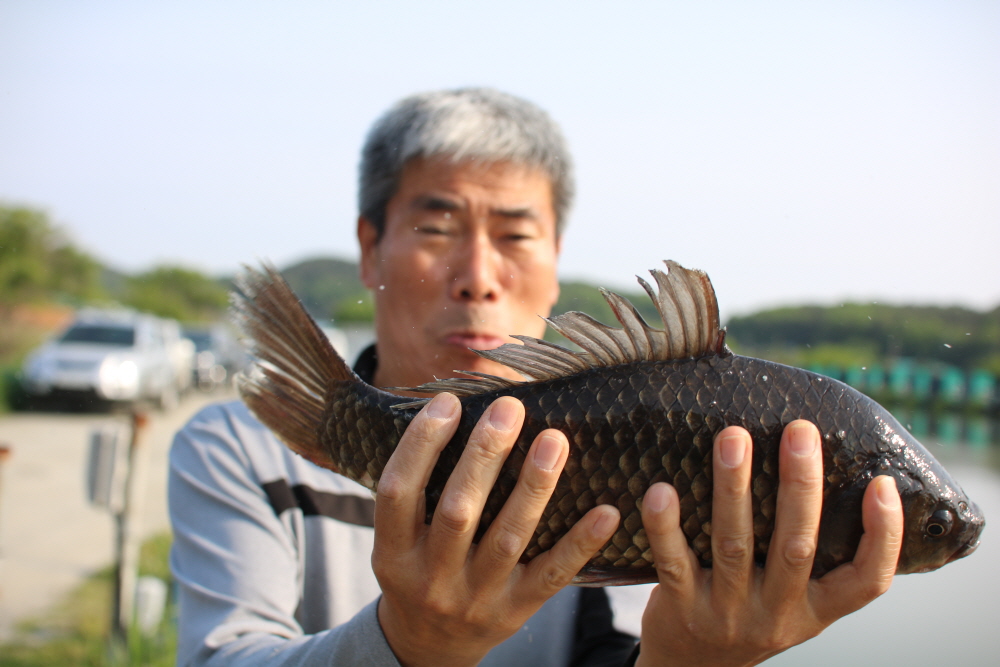 [ũ⺯ȯ]IMG_2408.JPG