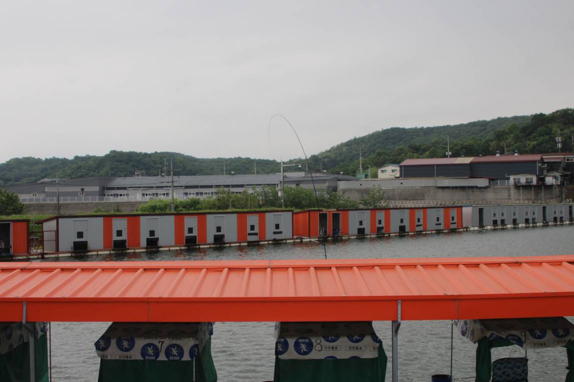 IMG_9972.JPG