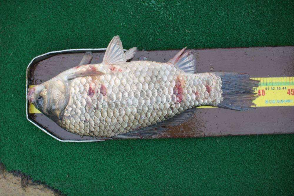 [ũ⺯ȯ]IMG_2875.JPG